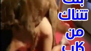 شاهد سكس كلب مع بنت هايجه سكس كلاب نيك محارم